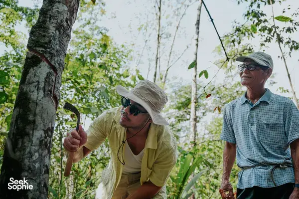 Outreach Borneo travellers walking in a green forest, a local guide pointing during a Dusun village trail near Kota Kinabalu