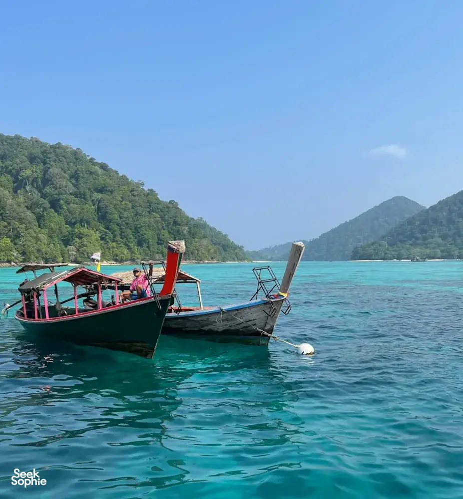 Seek Sophie option picture