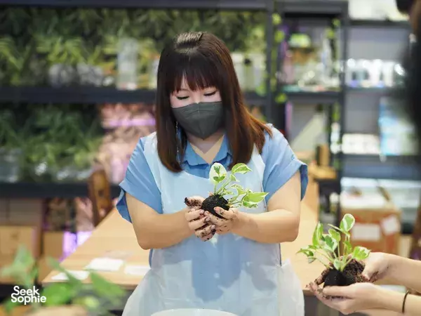 Masked participant holding a Japanese moss ball (kokedama) with leafy greens at a Singapore terrarium workshop