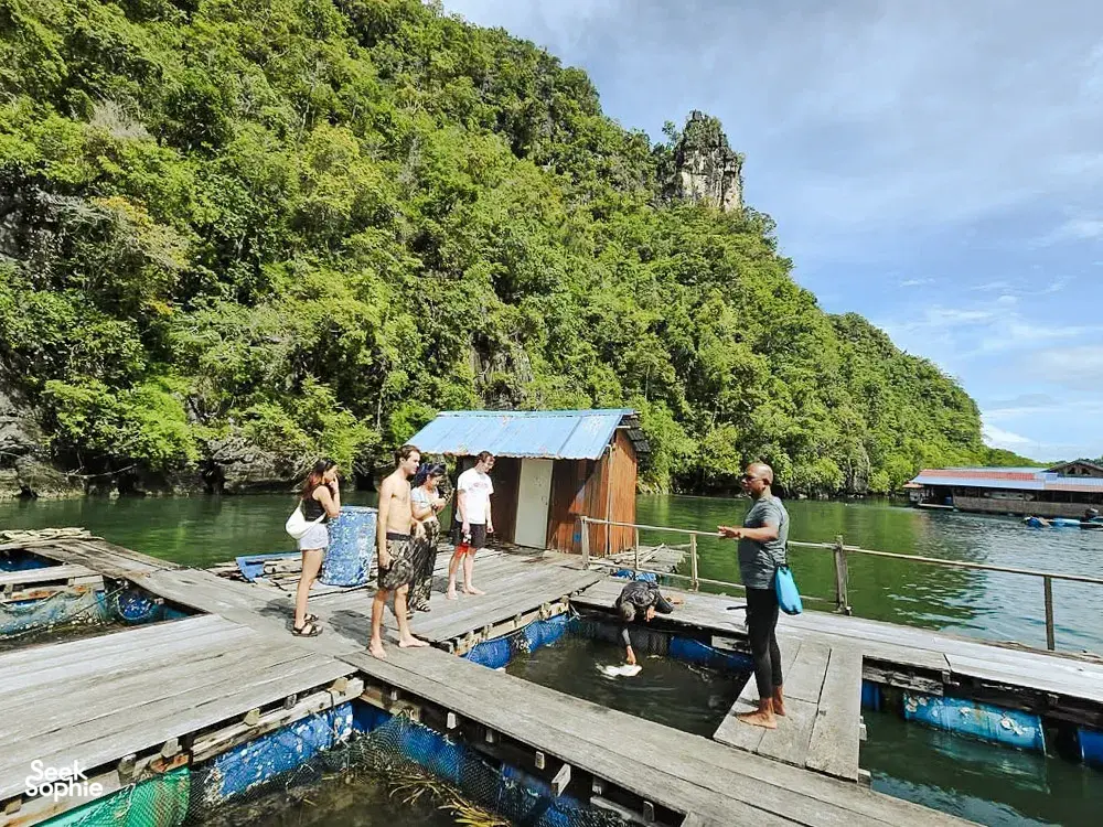 Small group gathering on a wooden jetty near a riverside hut in Langkawi before launching on a Selva-led kayak trip in Kilim