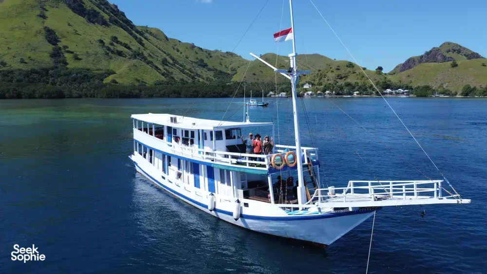 Seek Sophie option picture