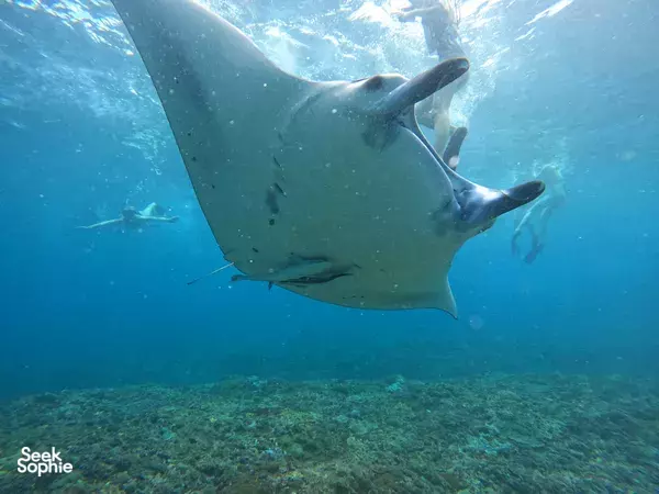 2-in-1 Nusa Lembongan + Nusa Penida | For water sport lovers!