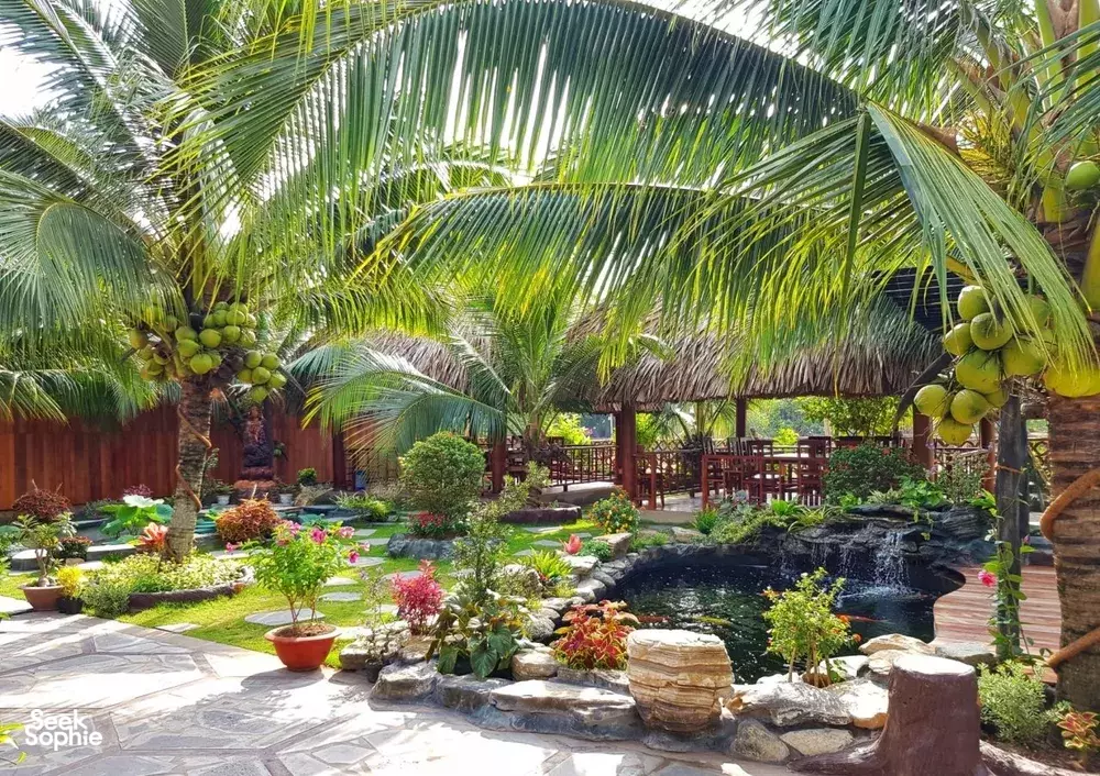 Seek Sophie option picture