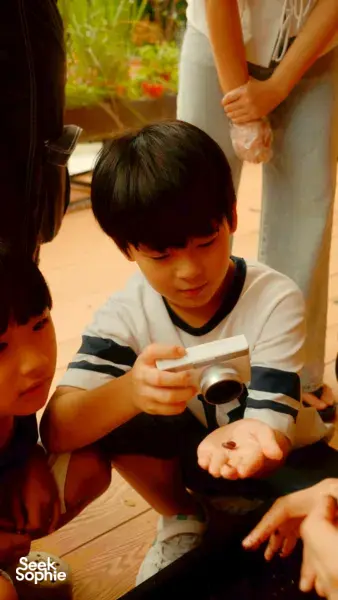 Bertemu Lebah, Semut, dan Cacing (Favorit untuk anak-anak!)