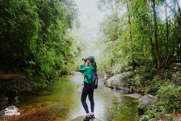 Full Day Jungle Adventure with Conservation Hero 