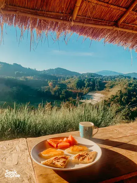 2天1夜 伦理大象观察体验｜隐秘的Doi Inthanon山间小径