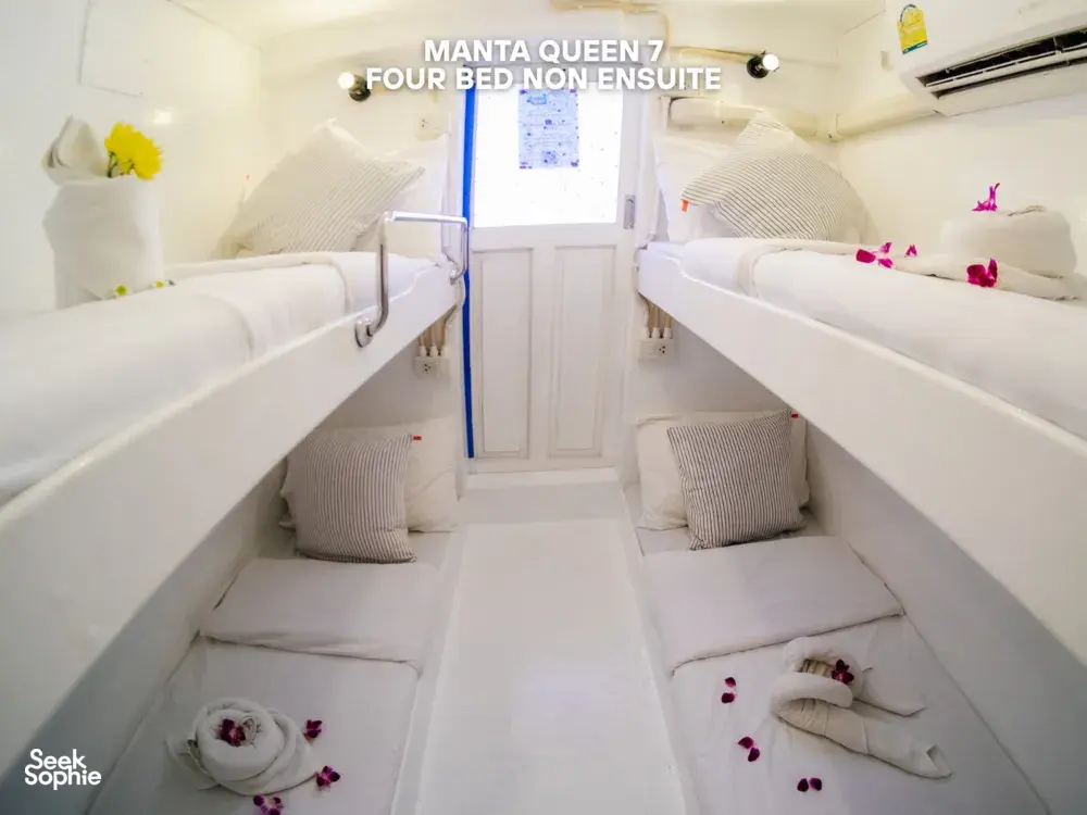 Seek Sophie option picture