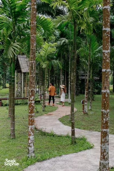 Path through a palm grove in the glamping grounds, with two people walking between trees in Khao Sok National Park.
