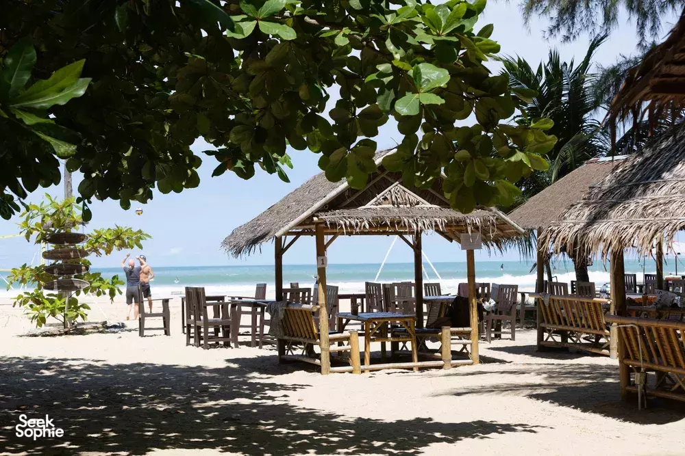 Seek Sophie option picture