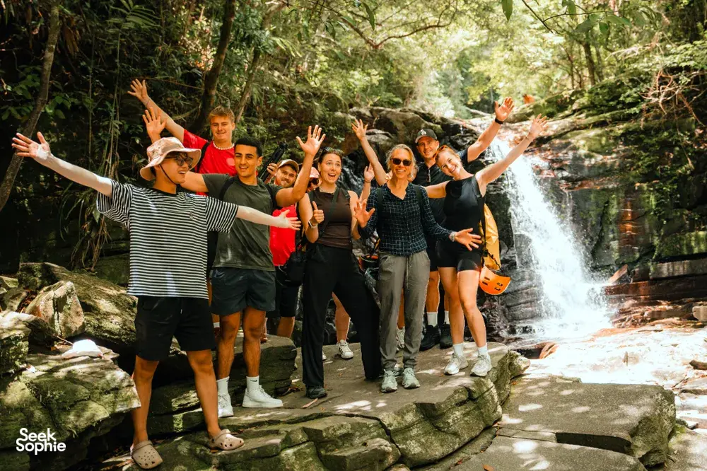 Seek Sophie option picture