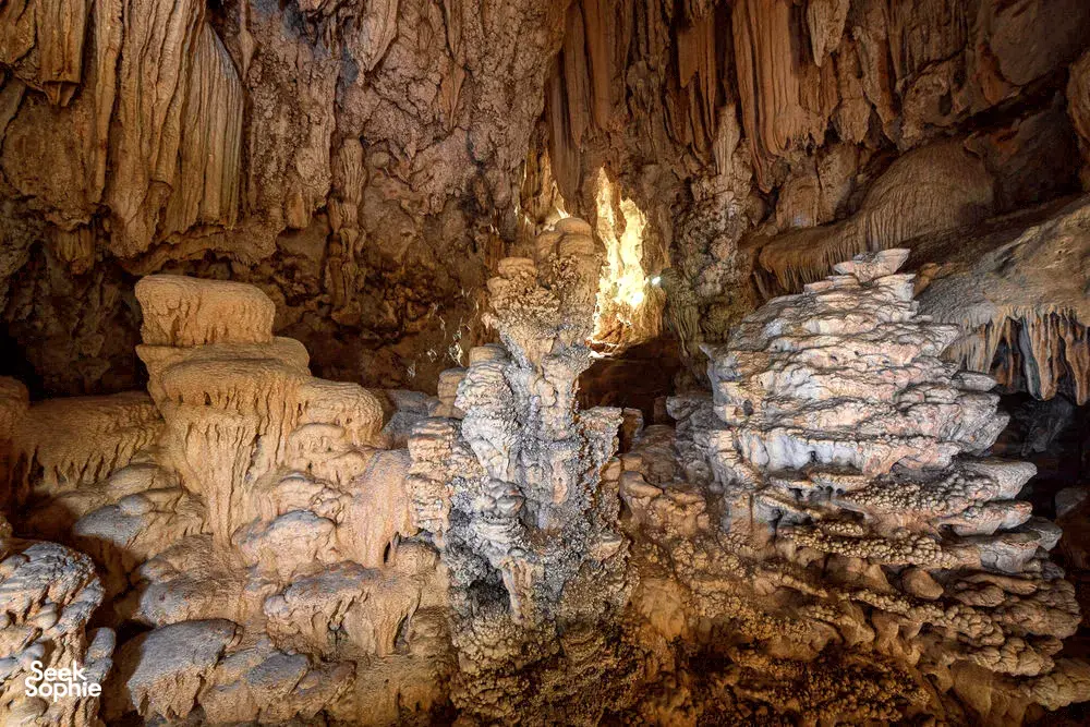 Seek Sophie option picture