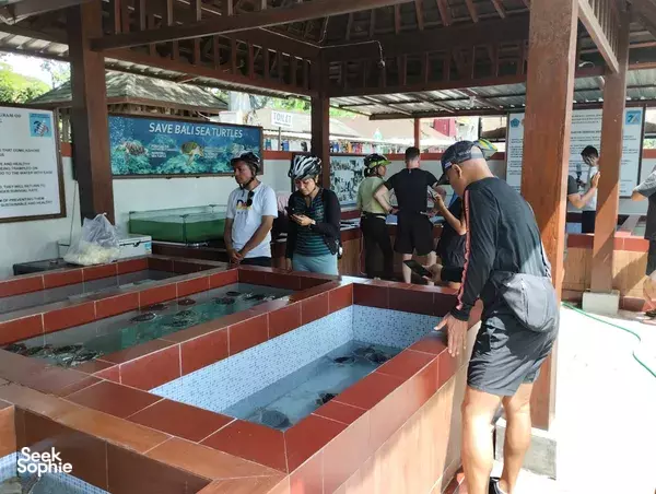 Sanur Hidden Gems by E-Bike | Local Market & Turtle Sanctuary