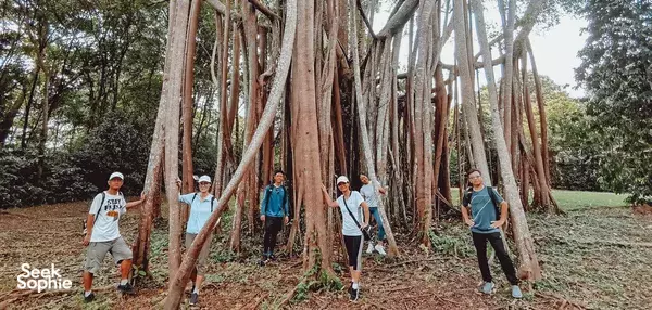 乌敏岛私人骑行之旅（配导游）