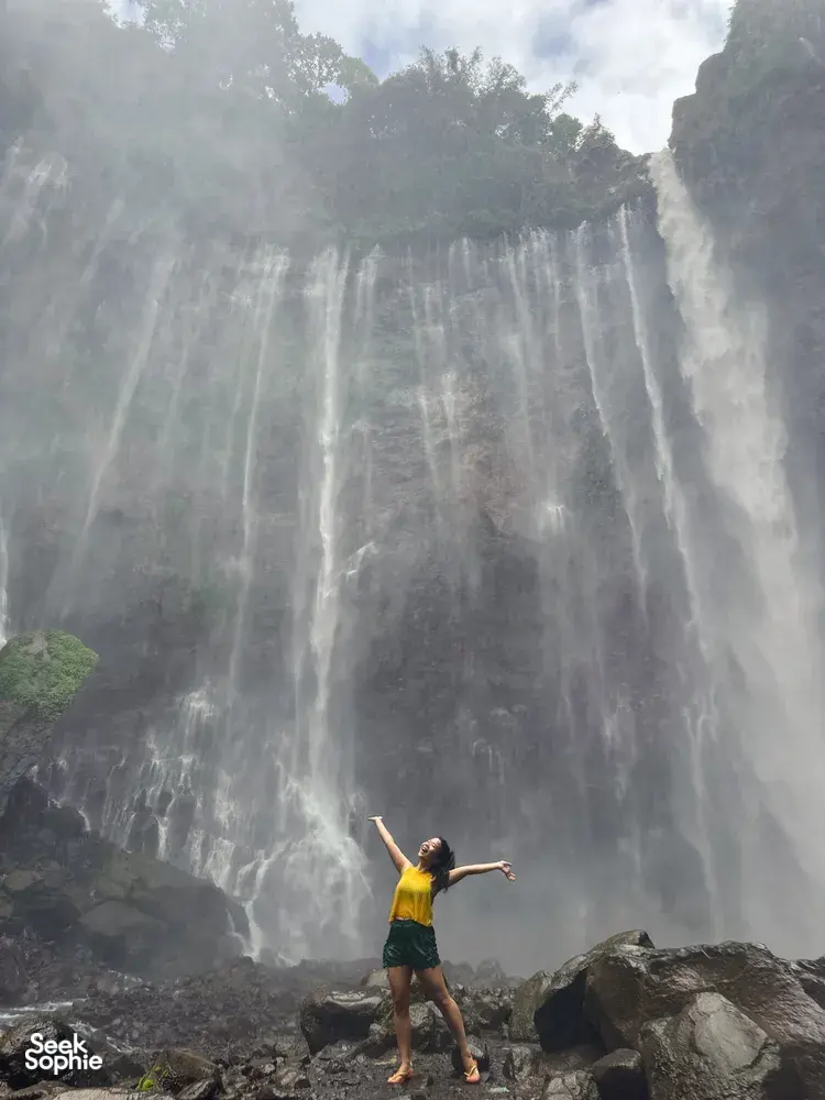 Seek Sophie option picture