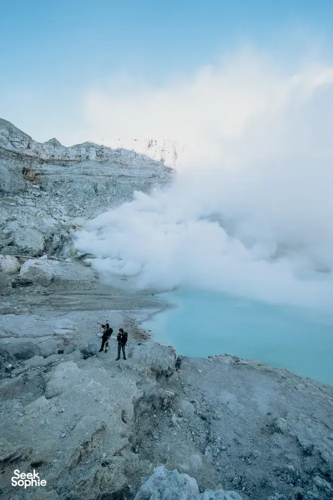 Seek Sophie option picture