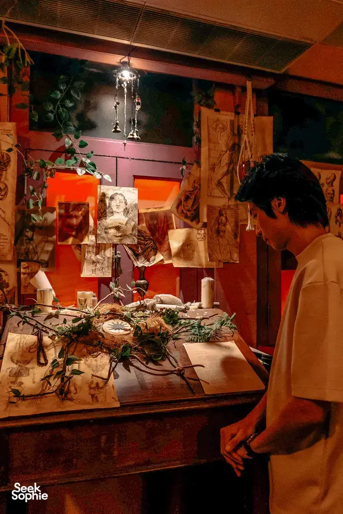 Seek Sophie option picture