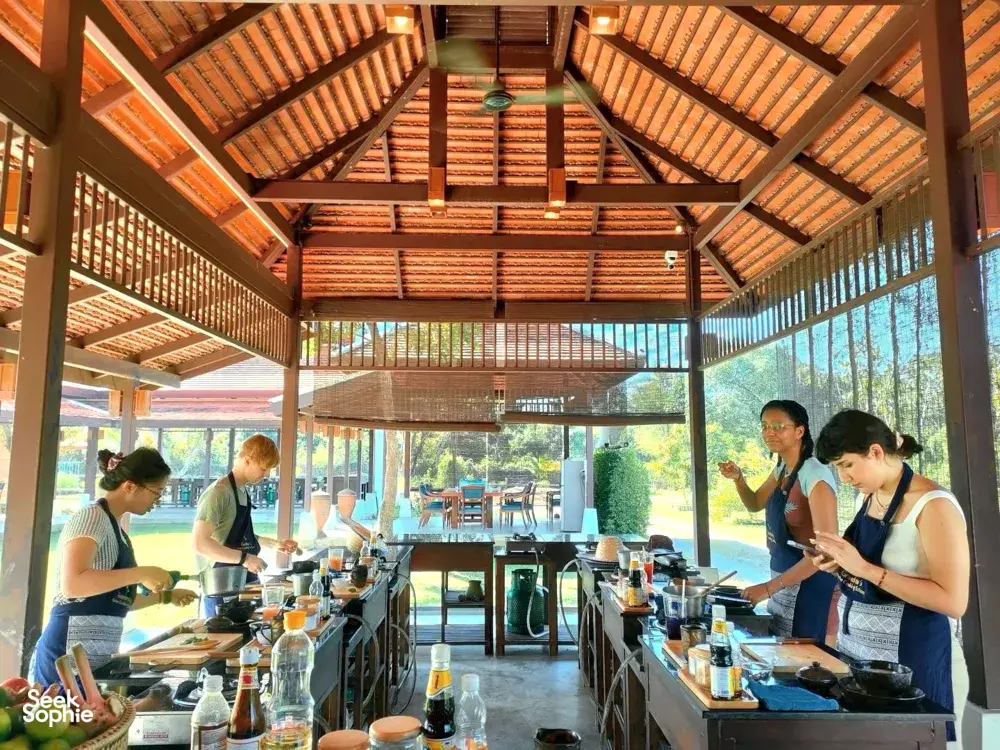 Seek Sophie option picture