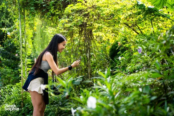 A Private Walk Through Singapore's Wildest Garden
