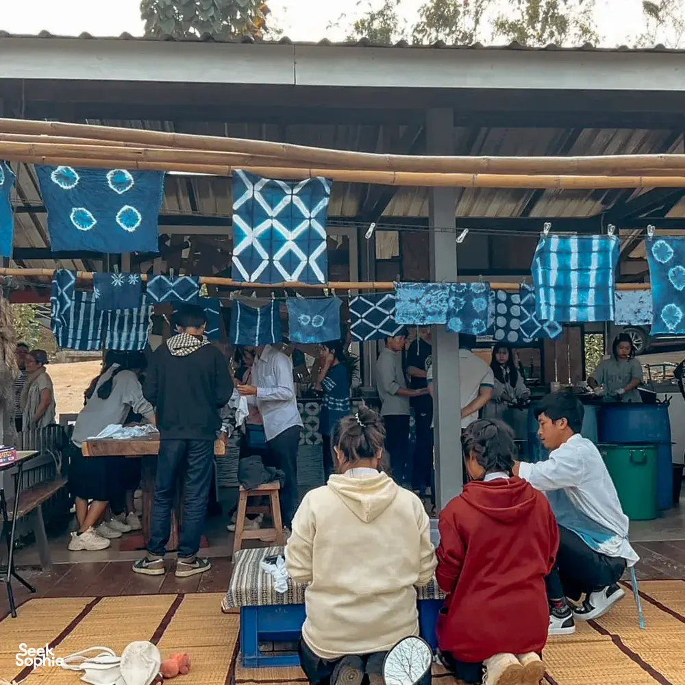 Seek Sophie option picture