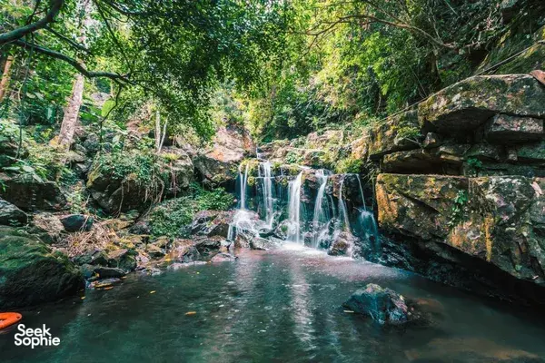 Phong Nha Easy Day Trip | Paradise Cave & Longest Zipline in SEA!