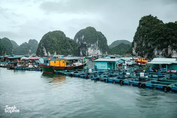  1 Day Cat Ba Cruise to Lan Ha Bay | Best Value