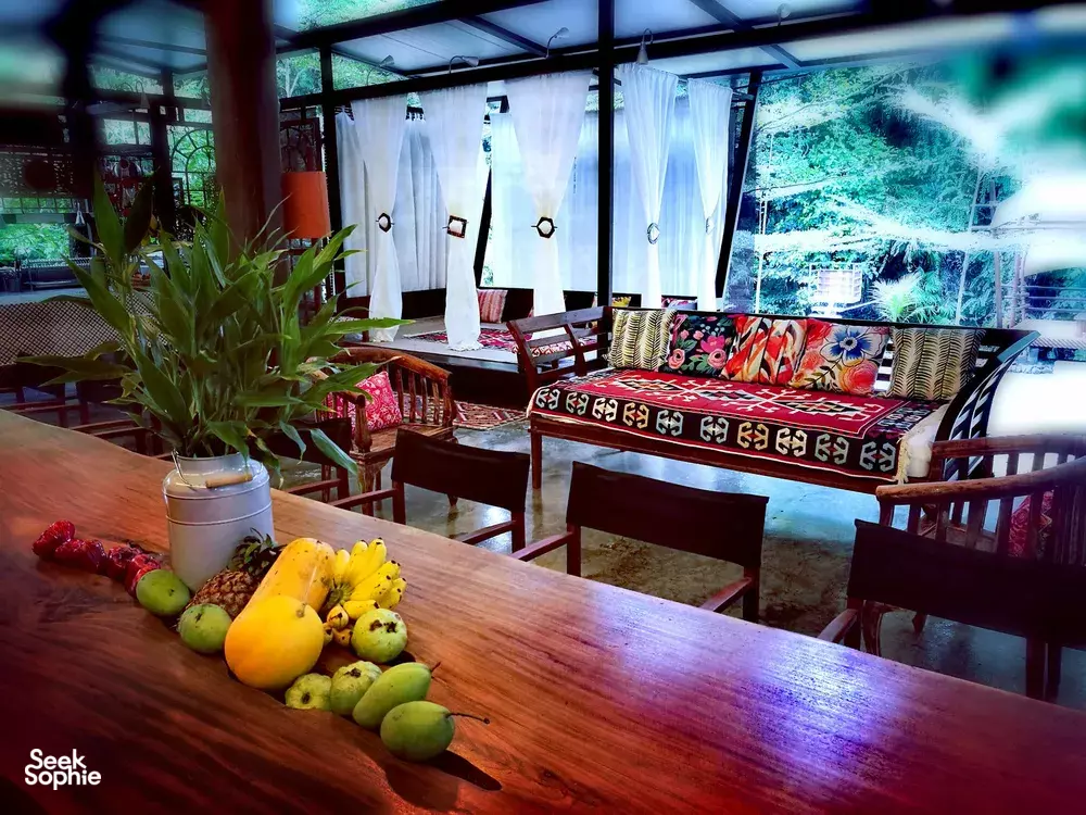 Seek Sophie option picture