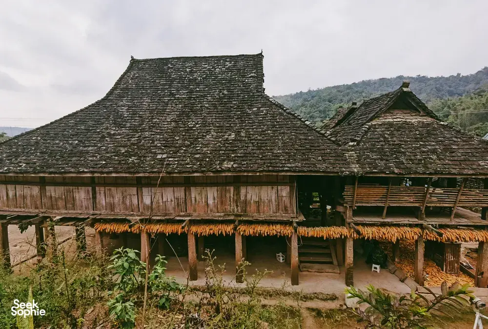 Rumah kayu tradisional beratap sirap gelap di Xishuangbanna, berada di tengah taman yang rimbun dalam perjalanan pribadi sehari