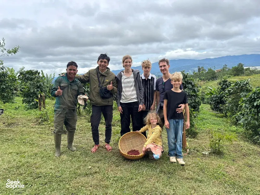 Seek Sophie option picture