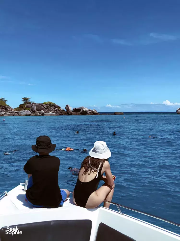 Seek Sophie option picture