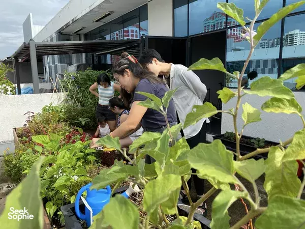 Garden-to-Table Workshop: Tea, Sodas & Roselle