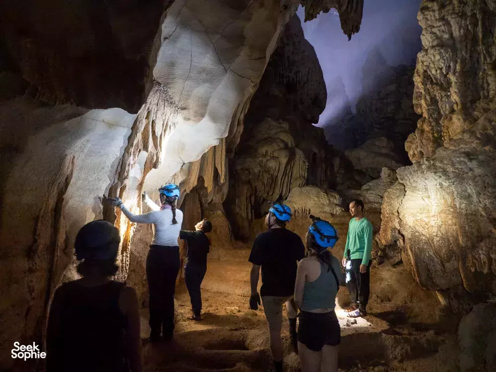 Seek Sophie option picture