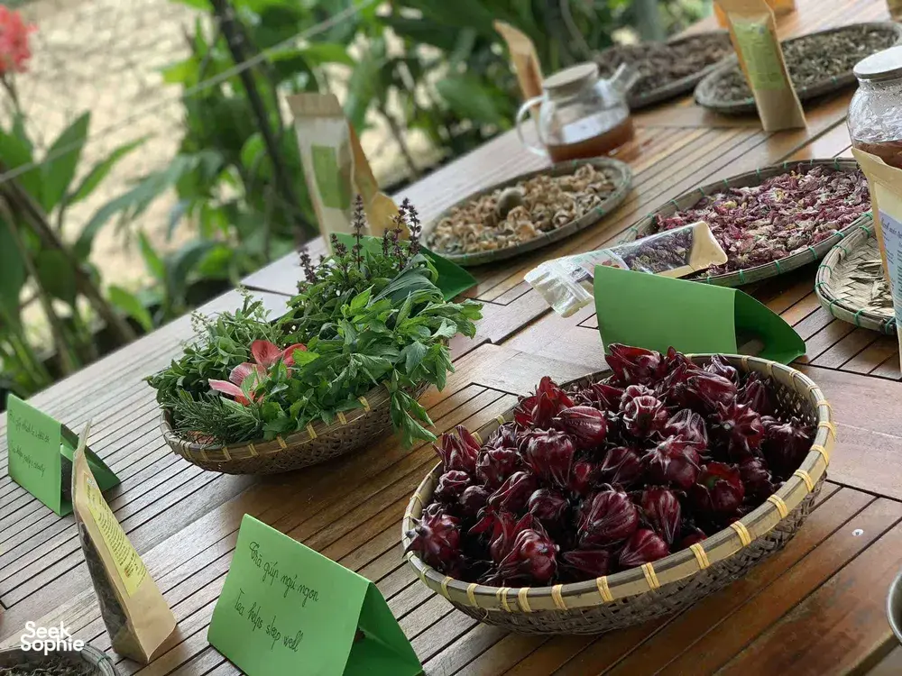 Seek Sophie option picture