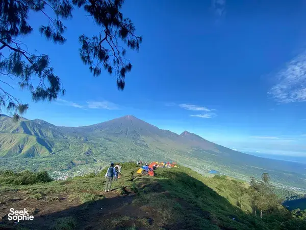 2H1M Camping di Pergasingan Hill | Bisnis Dipimpin Wanita di Rinjani