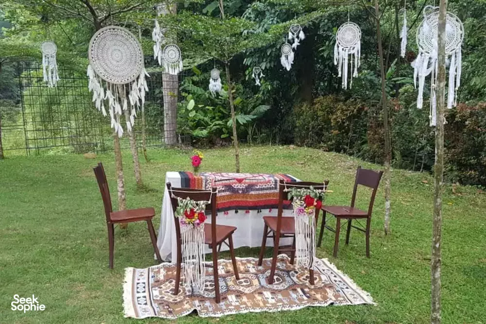 Seek Sophie option picture