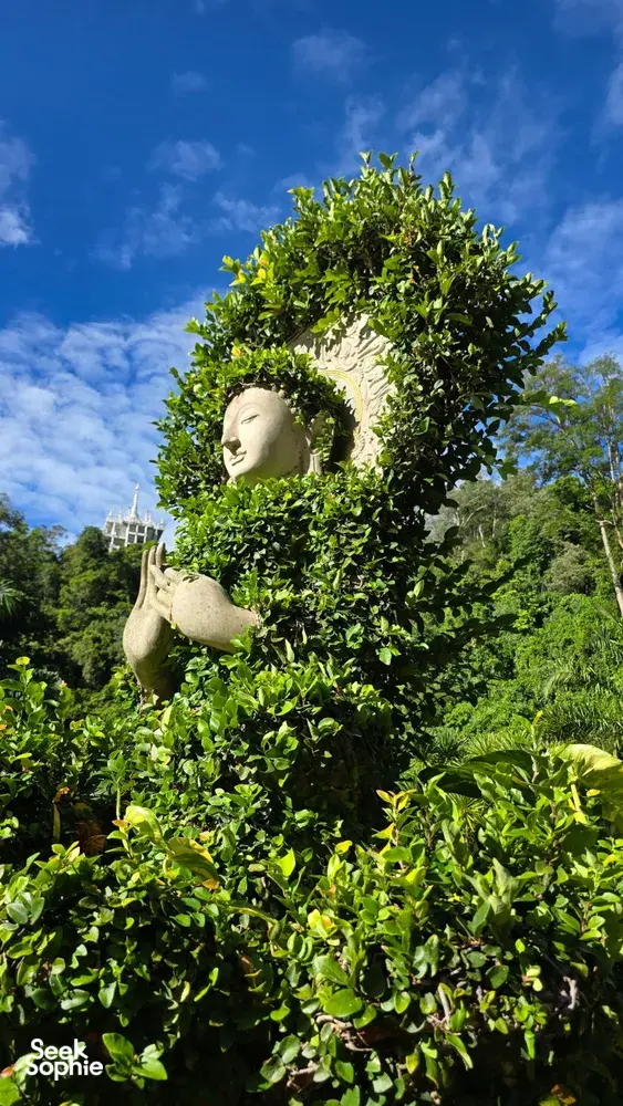 White seated Buddha statue nestled in bright leaves with blue sky above, part of Khao Sok hidden pagodas in Khao Sok National Park
