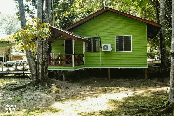 Borneo Big 5: 4D3N Kinabatangan River Safari for Wildlife Lovers