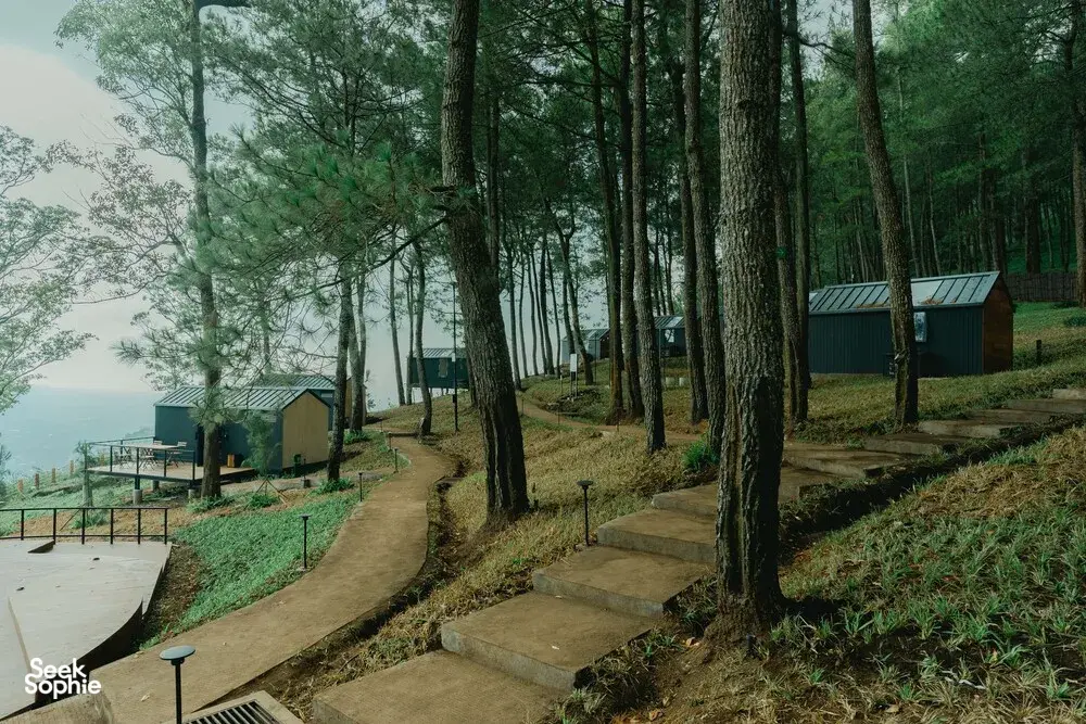 Seek Sophie option picture