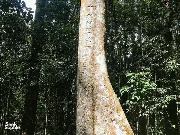 Trek Maliau Basin 4H3M | Menelusuri Lost World Sabah
