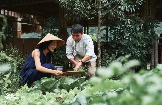 3D2N Luxury Halong Bay | Free Wellness Treatments + Rare Itinerary 