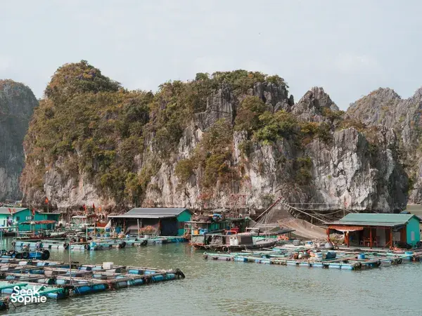 2D1N Lan Ha Bay Cruise | More Time on the Water & Longer Kayaking