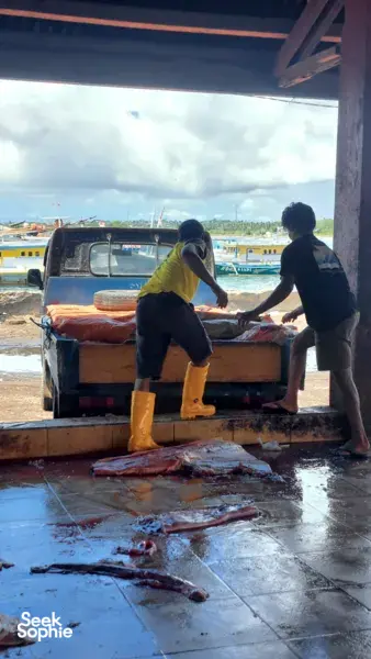 Support Shark Conservation in Lombok | Snorkel with Ex-Shark Fishermen