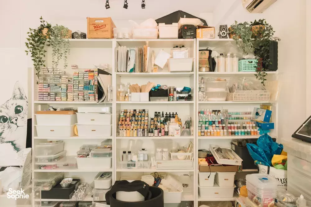 Seek Sophie option picture