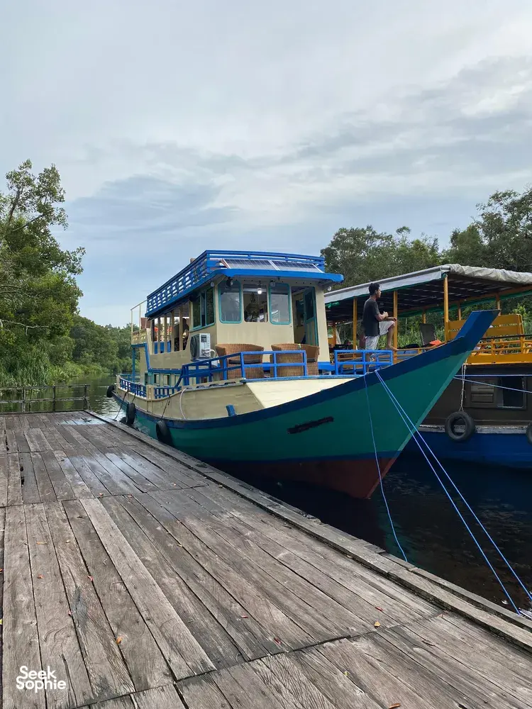 Seek Sophie option picture