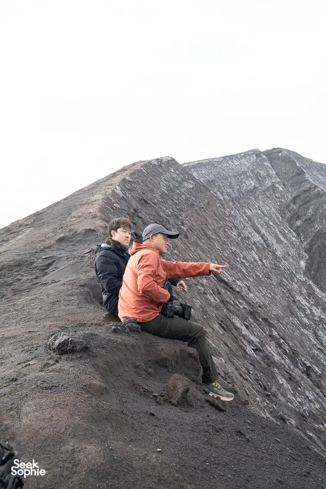 Seek Sophie option picture