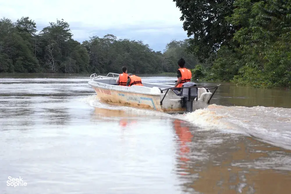 Seek Sophie option picture