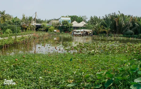 Explore Saigon’s Hidden Mekong Island by Bike 