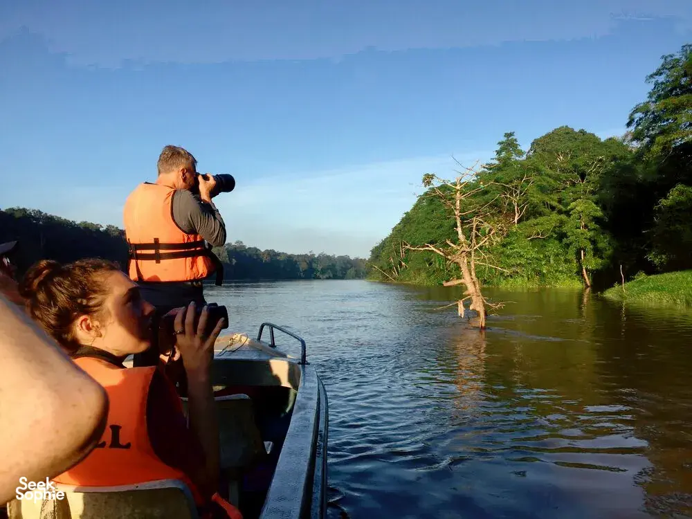 Seek Sophie option picture