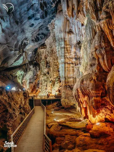Phong Nha Easy Day Trip | Paradise Cave & Longest Zipline in SEA!
