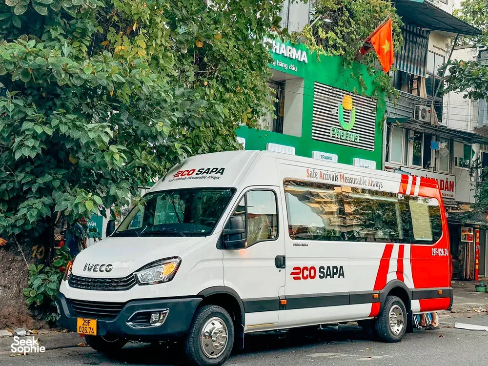 Seek Sophie option picture