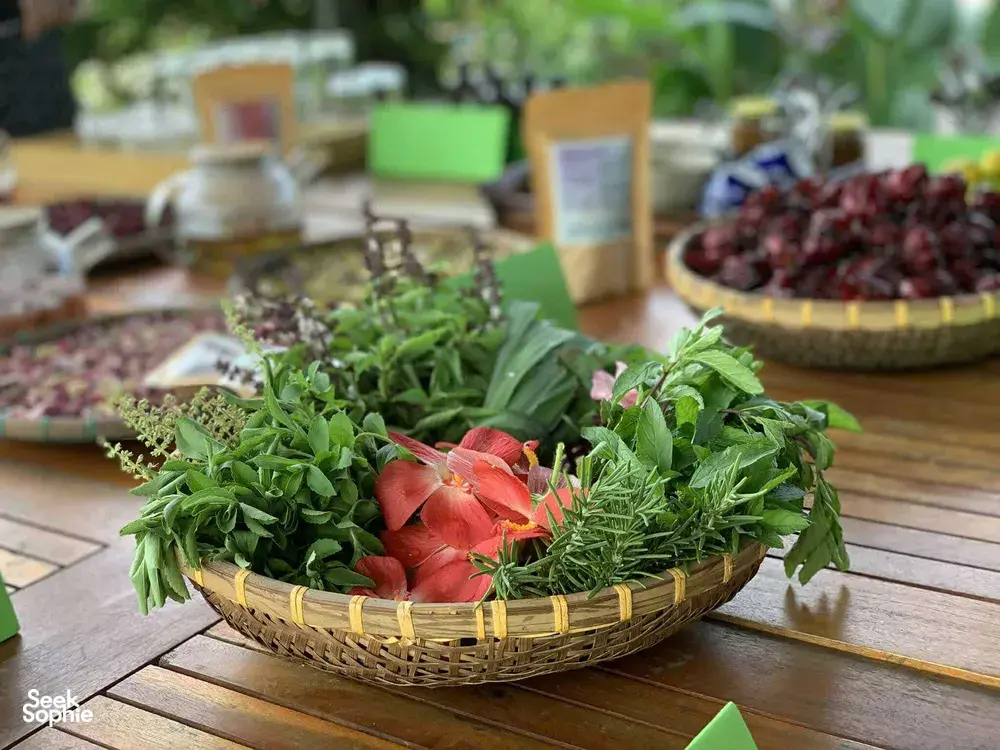 Seek Sophie option picture